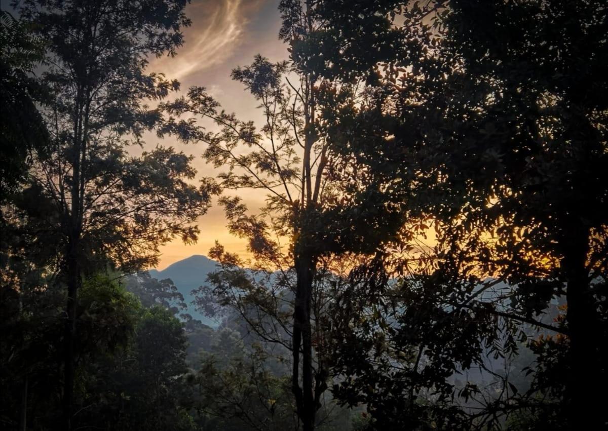 Ella Rock Glance Villa Dış mekan fotoğraf
