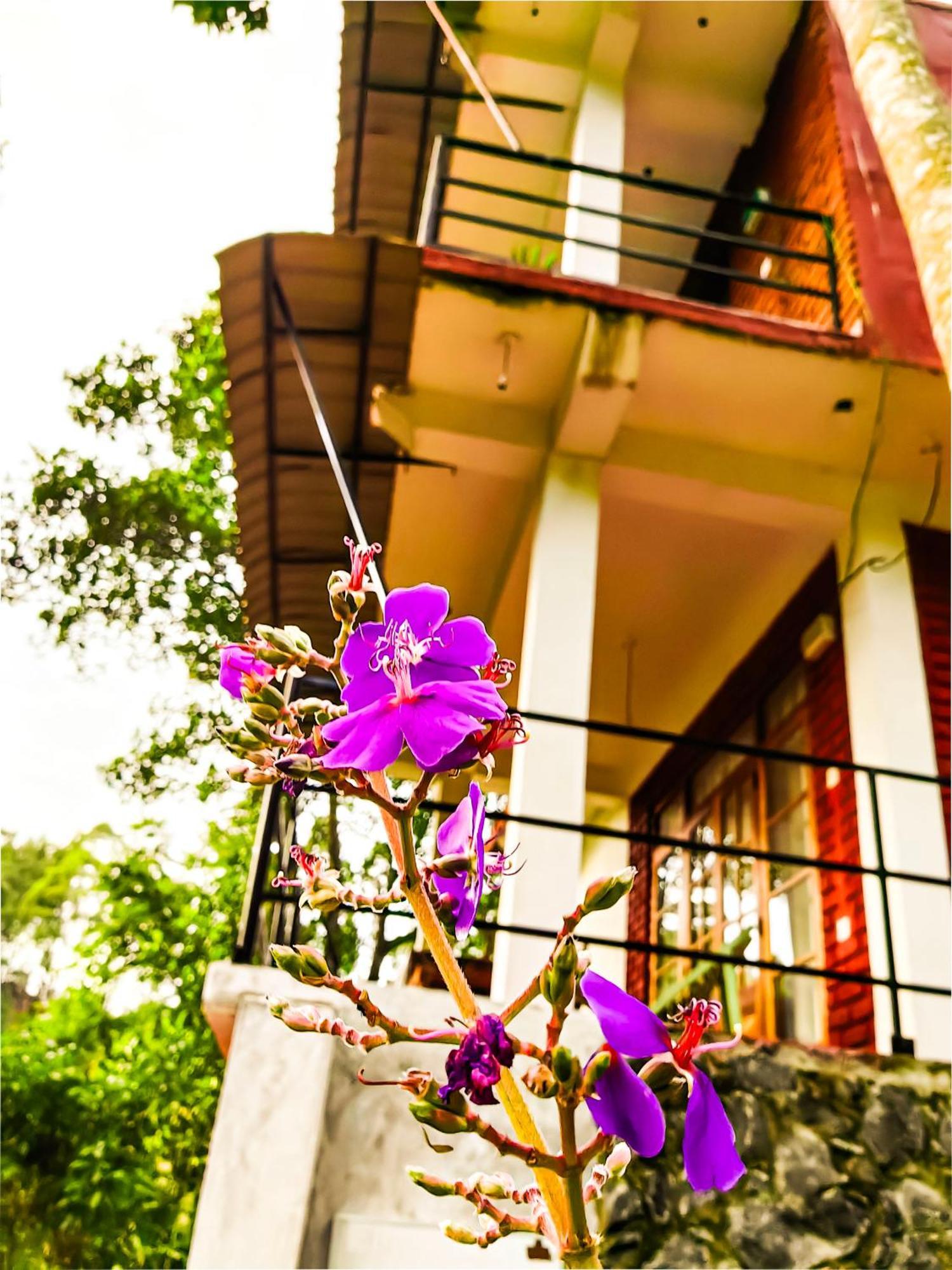Ella Rock Glance Villa Dış mekan fotoğraf