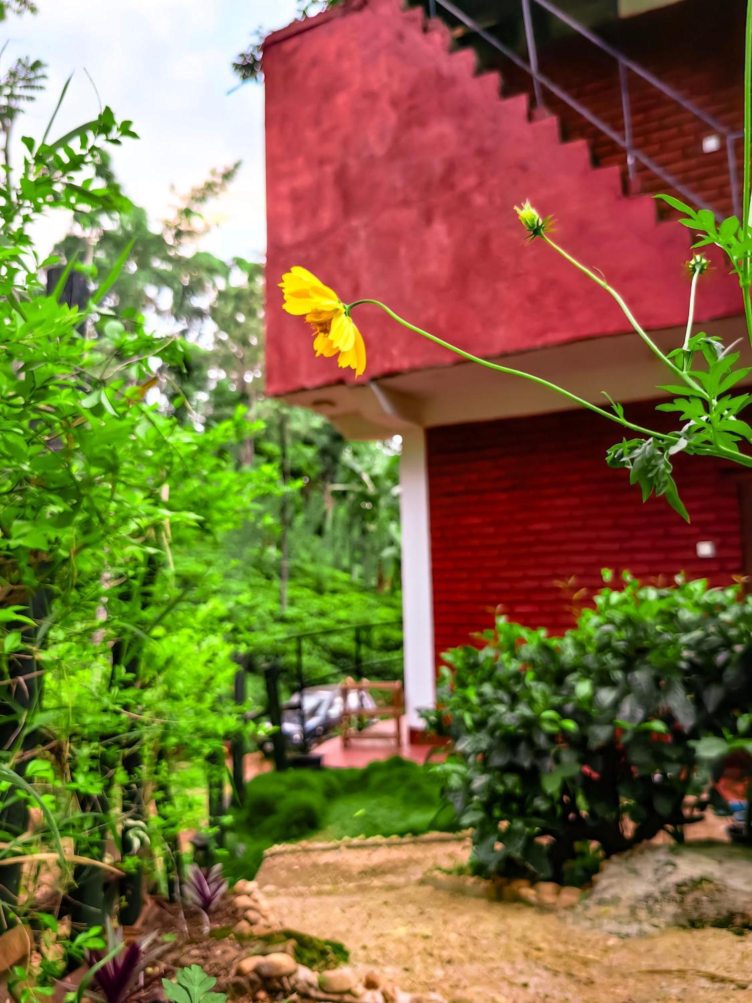 Ella Rock Glance Villa Dış mekan fotoğraf